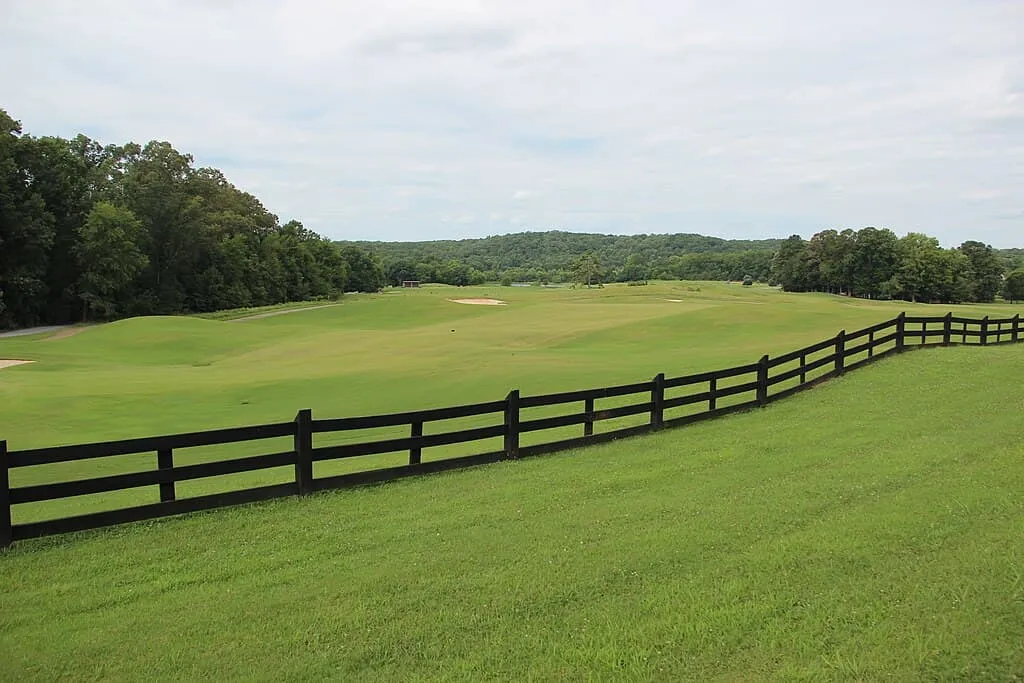 Barnsley Resort Golf Course in Bartow County by Thomson200
