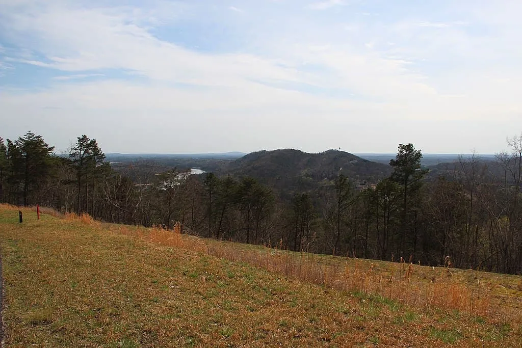 View from Vineyard Mountain in Bartow County by Thomson M