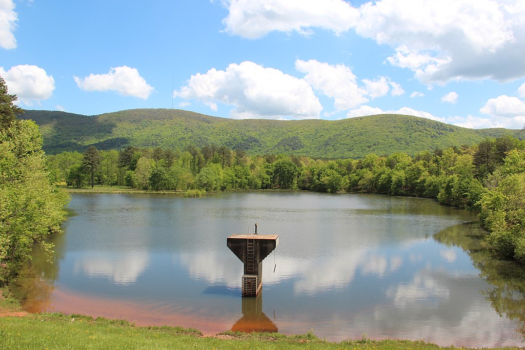 Neel Lake in Bartow County by Thomson M