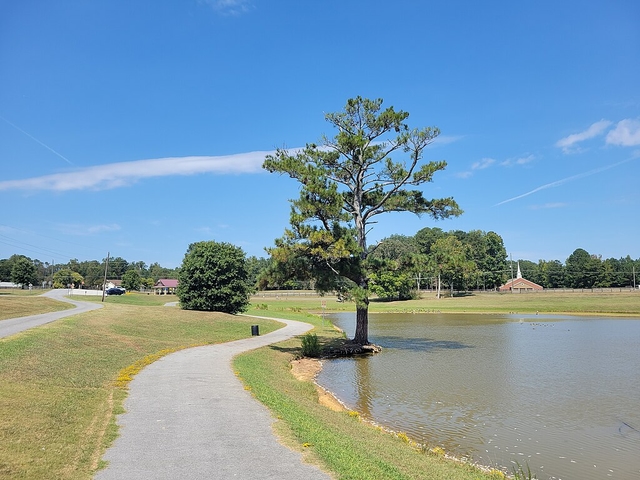 White Oak Park in Dallas, GA by John Phelan